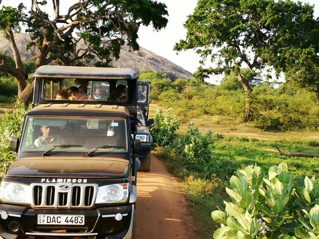 火狐电竞官方网站_
中国象棋特级大师!他叫王廓 咱吉林人的自满!(图5) 火狐电竞