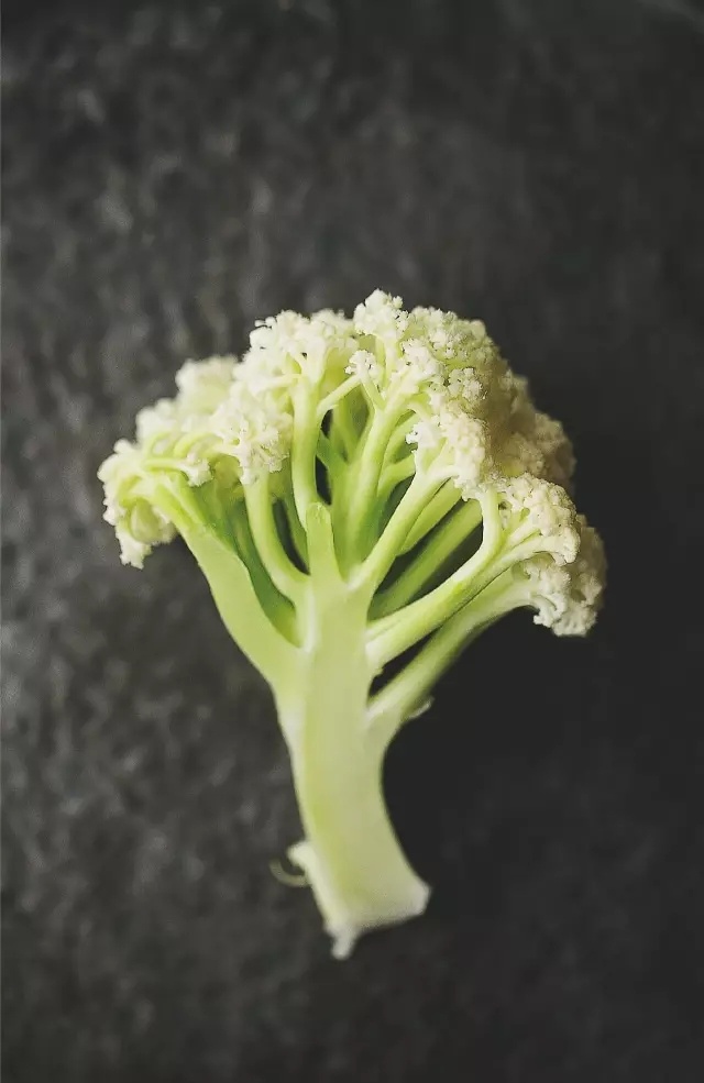 留学党如何选择打工兼职?吃土留学党请看过来,土豪请无视_火狐电竞(图2) 火狐电竞