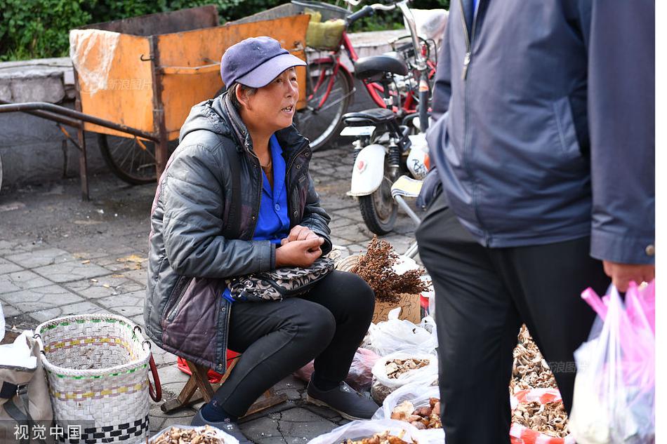 火狐电竞官方网站