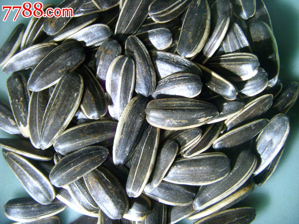 冠军榜:中乙联赛改制以来源届冠军球队1994-2019【火狐电竞官方网站】(图3) 火狐电竞官网