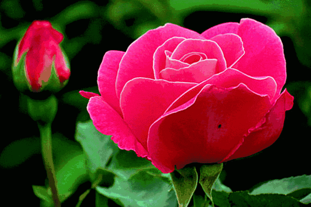 ‘火狐电竞官网’皮肤这么差,没有白富美综合美肤你怎么做小仙女(图4) 火狐电竞官方网站