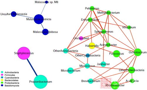 火狐电竞_
最佳进球评选 | 58同城2019中甲联赛第14轮(图3) 火狐电竞官网