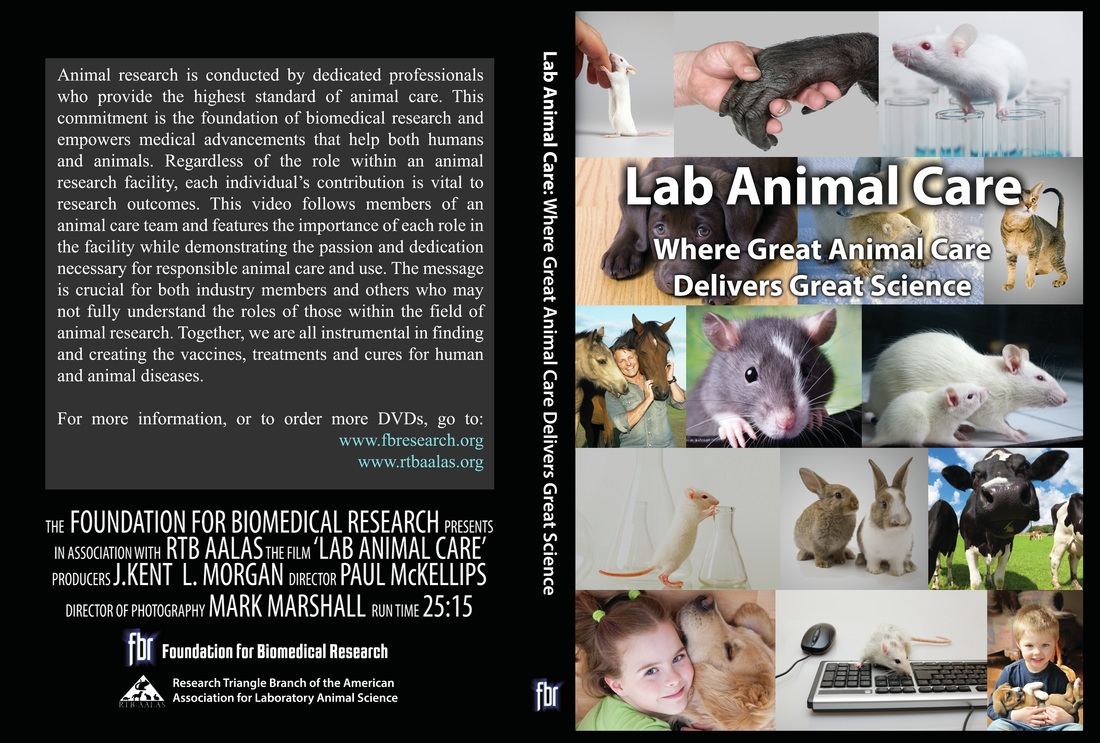 【火狐电竞官网】医疗旅游协会(R)扩大新闻网站规模,提高医疗保健意识,鼓励患者参与(图2) 火狐电竞