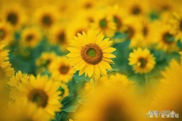 人生没有彩排 无法重来 天天都是现场直播_火狐电竞官方网站(图4)
人生没有彩排 无法重来 天天都是现场直播_火狐电竞官方网站(图4)