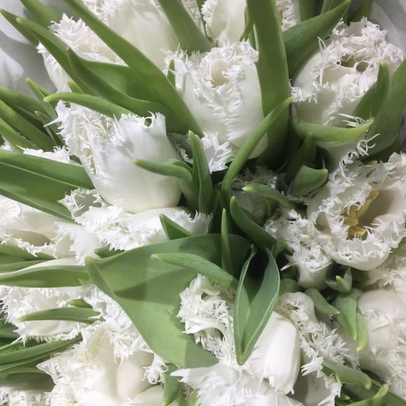 中甲2-1逆转,升班马4连败!冲超希望毫无悬念,梅州升至第3【火狐电竞】(图1) 火狐电竞官方网站