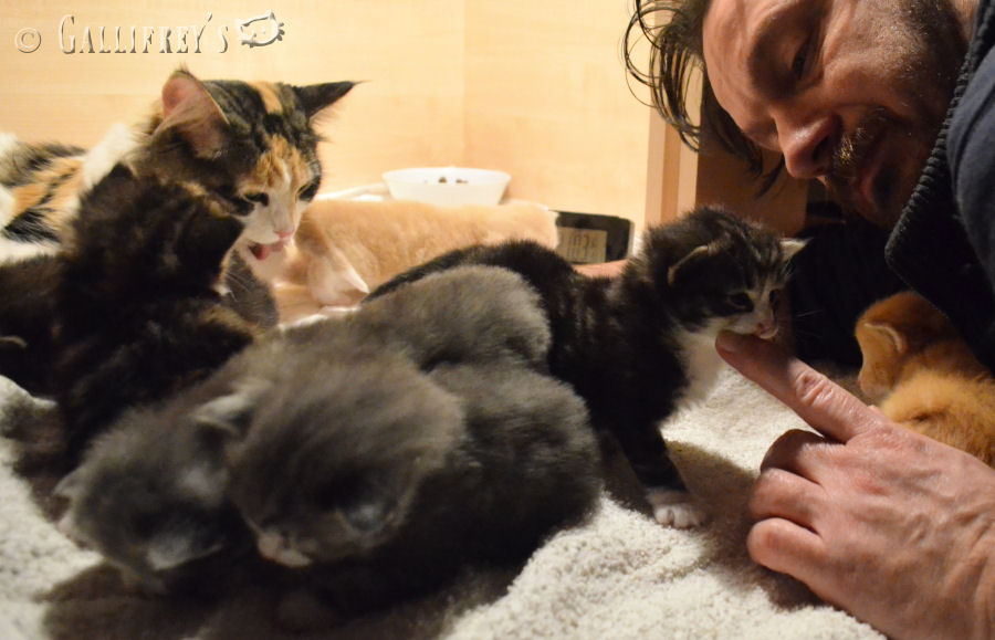 疫情当下品牌方营销的新机缘?加大广告预算_火狐电竞官方网站(图3) 火狐电竞