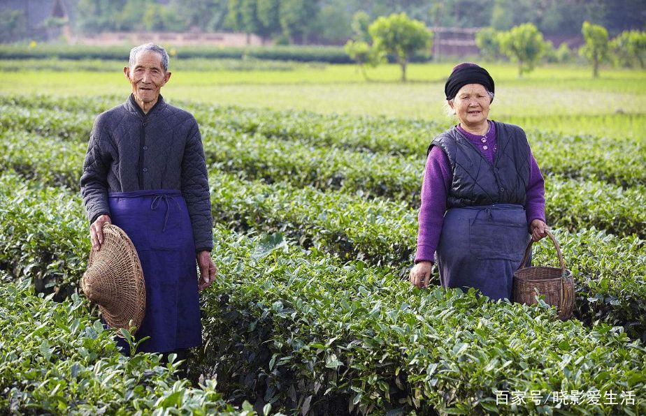 火狐电竞:
【财经要闻】14个部门团结印发《近期扩内需促消费的事情方案》(图1) 火狐电竞官网
