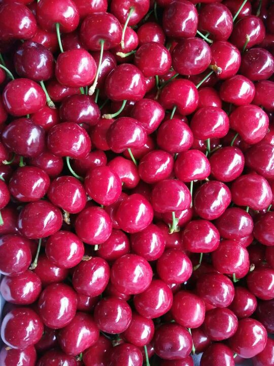 火狐电竞官方网站