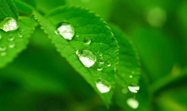 “火狐电竞官网”
10月20日(图2) “火狐电竞官网”
10月20日(图2)