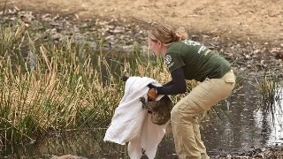 火狐电竞官方网站