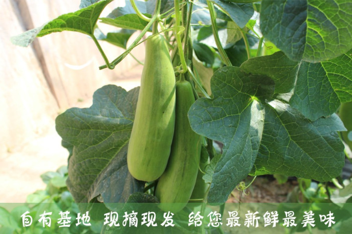 火狐电竞官方网站