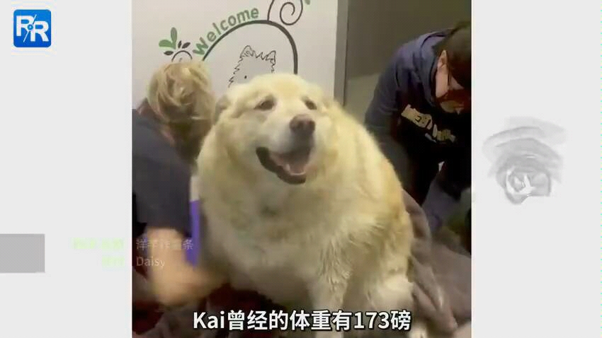 ‘火狐电竞’浙江伊藤 中国A队的成长历程(图2) 火狐电竞