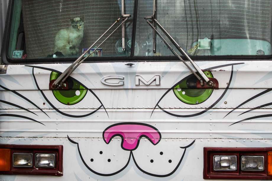 火狐电竞官方网站