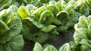 你的WiFi我做主:DCN打造“靠谱”无线网【火狐电竞官网】(图1) 火狐电竞官网