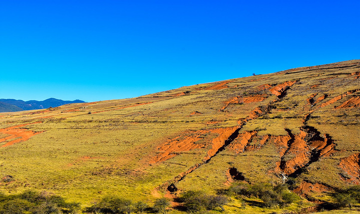 甲骨文FLEXCUBE Core Banking Release 5有助银行加快交易速度‘火狐电竞官网’(图3) 火狐电竞官方网站